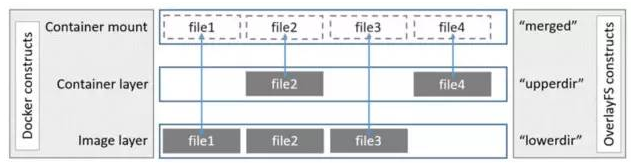 image-20220125082202308